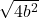 \sqrt{4b^2}