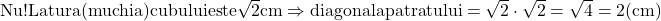 \rm{Nu !\\ 	 Latura (muchia) cubului este \sqrt2 cm   \Rightarrow  diagonala  patratului=\sqrt2 \cdot  \sqrt2= \sqrt4 = 2 (cm) 	 	 	