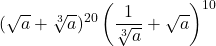  	\[ 	(\sqrt a  + \sqrt[3]{a})^{20} \left( {\frac{1}{{\sqrt[3]{a}}} + \sqrt a } \right)^{10} 	\] 	