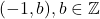 (-1,b),b\in\mathbb{Z}