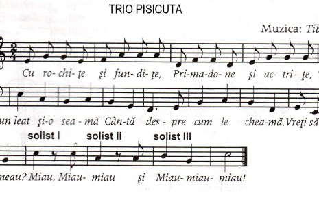 Trio pisicuta