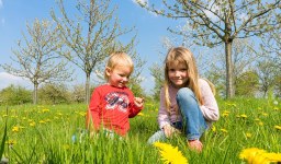 Activităţi simple de exterior pentru începutul primăverii