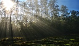 La joacă cu soarele, o poveste despre prietenie şi înţelegere