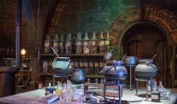 Jocuri pentru petrecere inspirate din Harry Potter