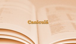 Caniculă