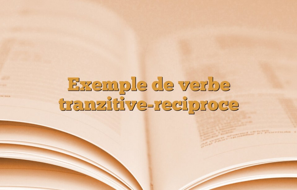 Exemple de verbe tranzitive-reciproce