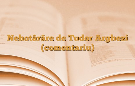 Nehotârâre de Tudor Arghezi (comentariu)