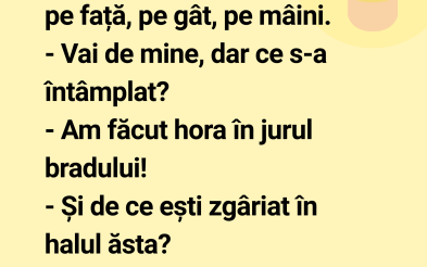 Ati reușit să strângeți bradul? – amuzant