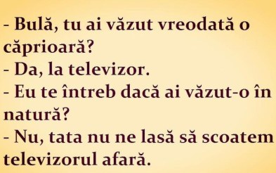 Bulă la Cunoașterea Mediului….